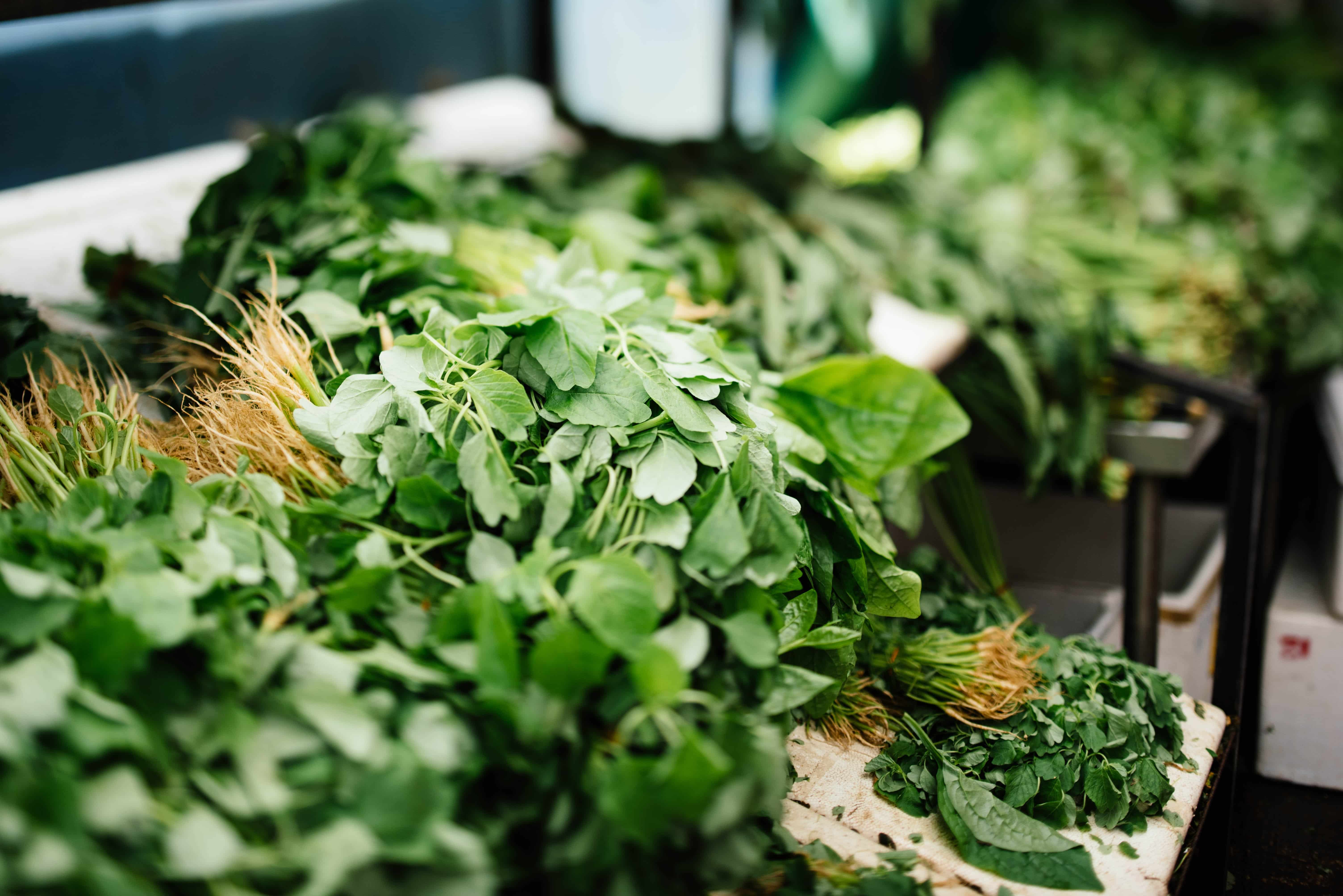 La ciboulette : une herbe aromatique aux bienfaits santé